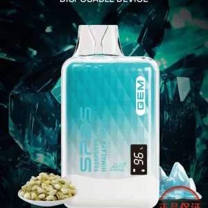 SP2S GEM 9000口 拋棄式電子煙：圖片 7