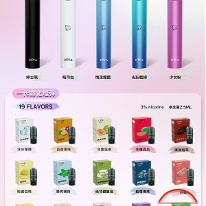 DIYA 叮啞一代主機：圖片 8