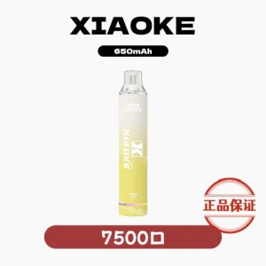 XIAOKE 梟客 7500 口 發光版 拋棄式電子煙