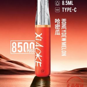 XIAOKE 梟客 8500口一次性電子菸：圖片 8