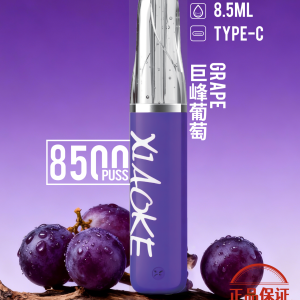 XIAOKE 梟客 8500口一次性電子菸：圖片 6