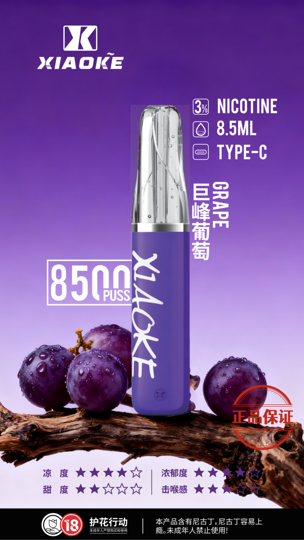 XIAOKE 梟客 8500口一次性電子菸