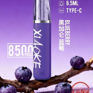 XIAOKE 梟客 8500口一次性電子菸：圖片 7