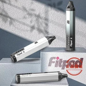 斯萊克三代 SLYEEKS 主機（Fitpod X Slyeek 3）