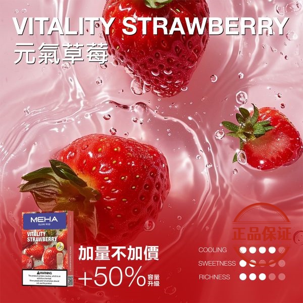 MEHA 魅嗨 一代煙彈 升級版【加量】