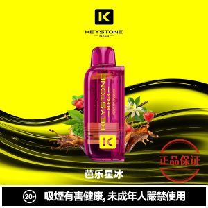 钥石 KEYSTONE FLEX-3 25000口 專彈專機套裝：圖片 12