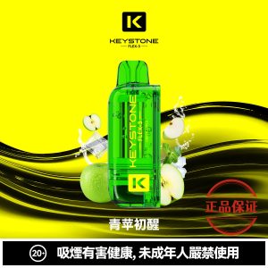 钥石 KEYSTONE FLEX-3 25000口 專彈專機套裝：圖片 13